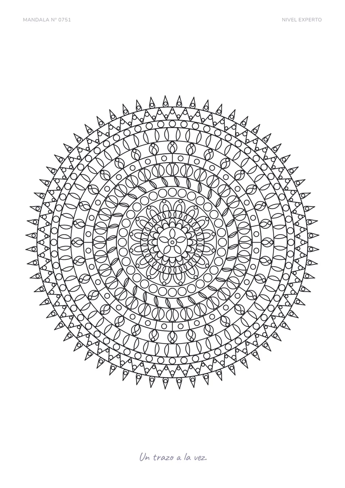 Mandalas nivel experto
